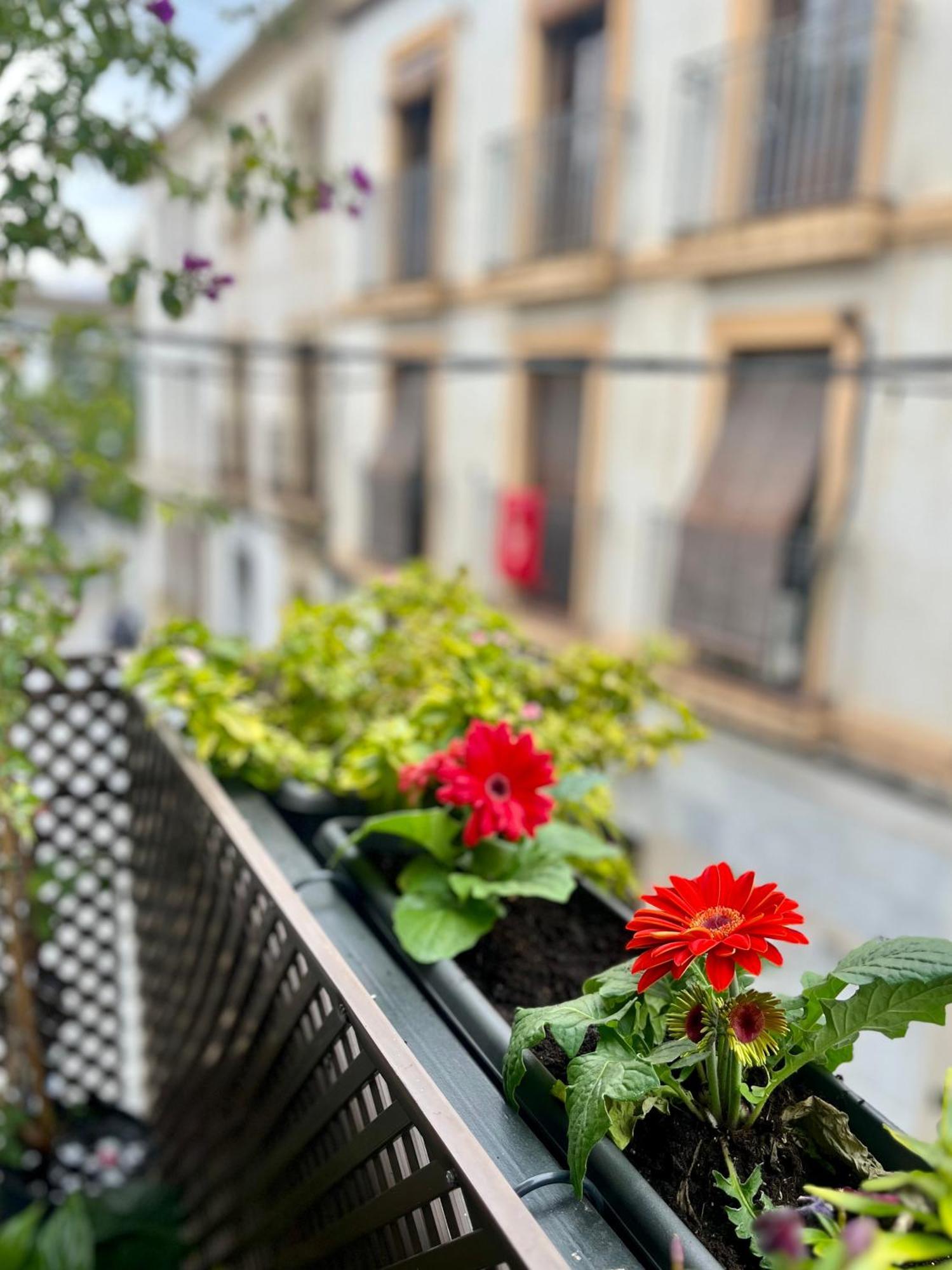 La Casa De Char Apartment กอร์โดบา ภายนอก รูปภาพ
